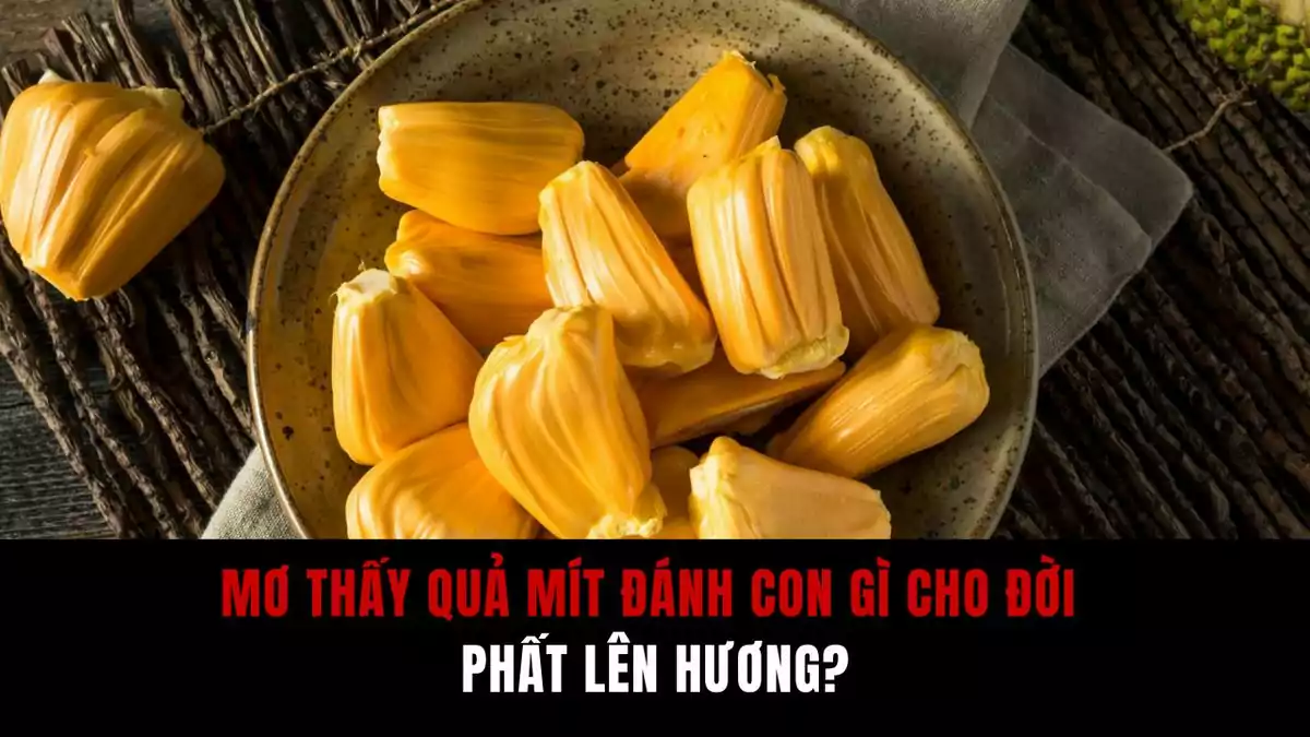 Mơ thấy quả mít