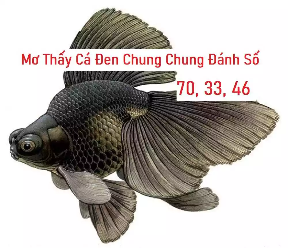  Nhìn thấy cá rô đen trong mơ 