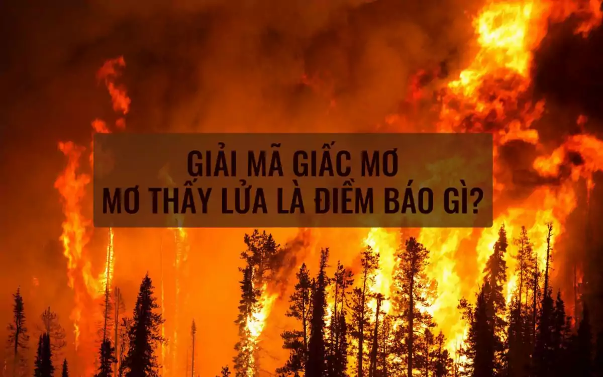 Mơ thấy cháy rừng làm chết người